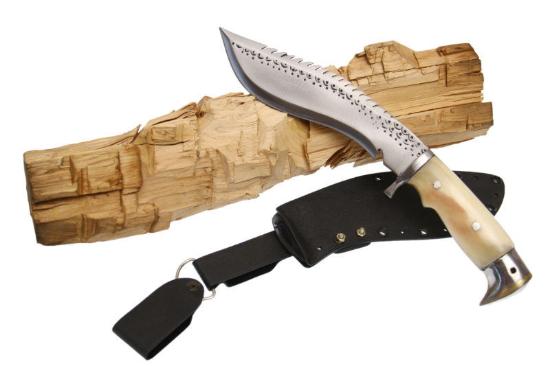 8 Inch Eagle Dragon With Kydex Sheath