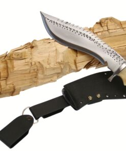 8 Inch Eagle Dragon With Kydex Sheath