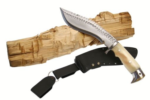 8 Inch Eagle Dragon With Kydex Sheath