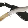 8 Inch Eagle Dragon With Kydex Sheath