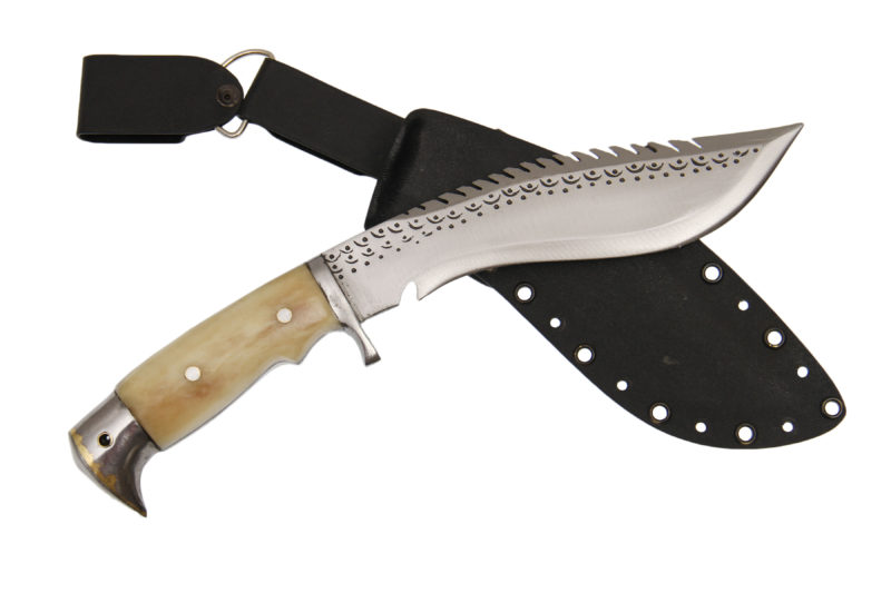 8 Inch Eagle Dragon With Kydex Sheath