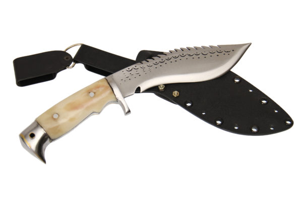 6 Inch Eagle Dragon With Kydex Sheath