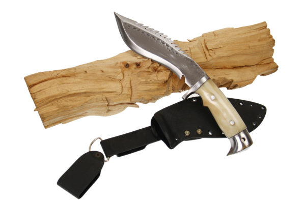 6 Inch Eagle Dragon With Kydex Sheath