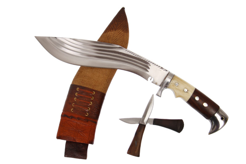10.5 Inch Five Chira American Eagle